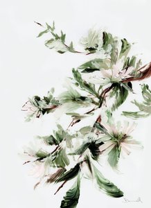 Floração de Dan Hobday
