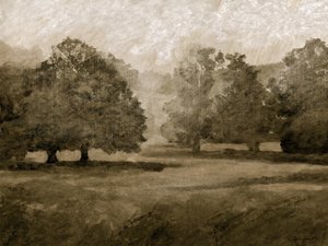 Terrenos do Castelo de Dan Hobday