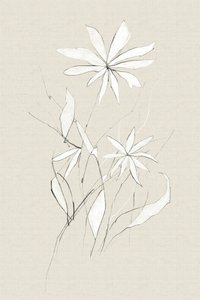 Flor da Quinta
