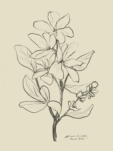 Floral 1