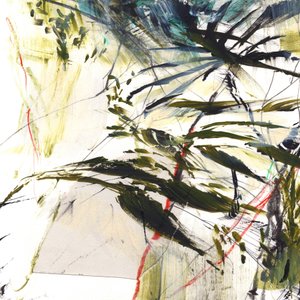 Tempestade tropical de Dan Hobday