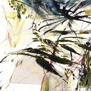 Tempestade tropical de Dan Hobday