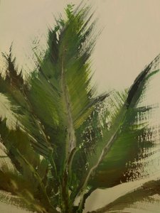 Traços Verdes de Dan Hobday