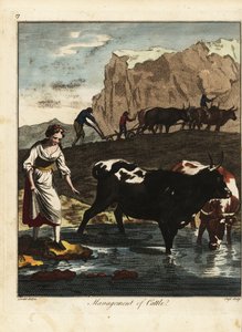 Criada de lacticínios e agricultores com gado de Daniel (after) Dodd