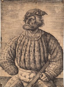 Kunz von der Rosen, hofnar de kejser Maximilian