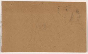 Desenho, Dash (um Setter), cabeça e corpo, ca. 1862 de Daniel Huntington