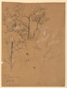 Maple Top na estrada para Jackson, New Hampshire de Daniel Huntington