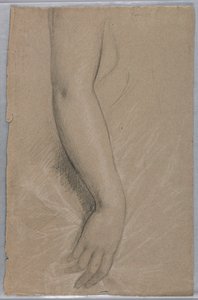 Estudo de um braço para retrato da Sra. Rutherford B. Hayes de Daniel Huntington