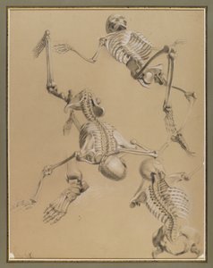 Estudo de esqueletos, 1848 (giz no papel)