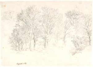 Estudo de árvores de Dankvart Dreyer