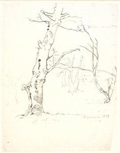 Troncos de árvores de Dankvart Dreyer