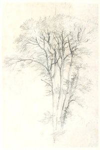 Estudo de madeira de Dankvart Dreyer