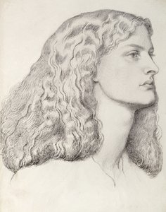 Annie Miller (caneta e tinta)