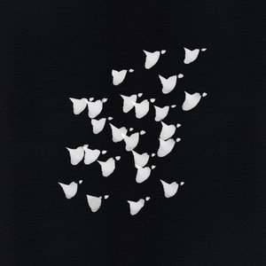 Voo abstrato das aves de Danushka Abeygoda