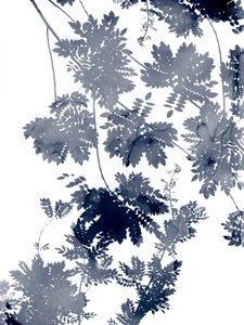 Ecologia Profunda 1 Bluegrey