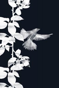Pássaro etéreo e folhas