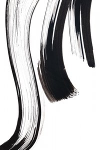 Traços fluidos de tinta de Danushka Abeygoda