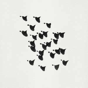 Voo de pássaros minimalistas de Danushka Abeygoda