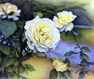 Alberta Roses In Bloom, 2018 (lápis sobre papel)