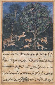 Página de Contos de um Papagaio Tuti-nama: Quinta noite: A mãe papagaio adverte..., c. 1560. de Daswanth