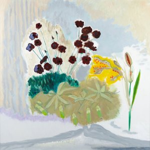 Seedpods e Cosmos, 2010 (óleo sobre tela) de David Alan Redpath Michie
