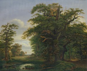 Madeira de Carvalho, 1847 de David Christopher Mettlerkamp