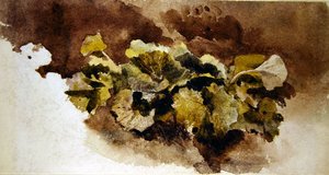 Folhas de Doca (aguarela sobre papel) de David Cox