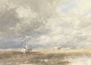 Ir para o Hayfield de David Cox