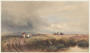 Viagem de regresso a casa de David Cox