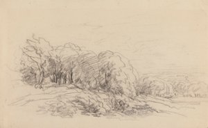 Paisagem com Árvores de David Cox