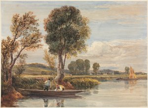 No Tamisa de David Cox
