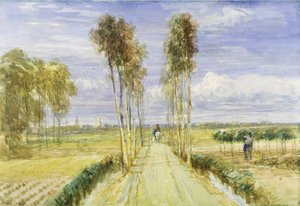 The Poplar Avenue (aquarela sobre lápis e giz preto no papel) de David Cox