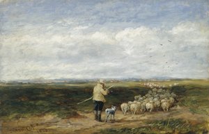 O pastor, o regresso do rebanho de David Cox