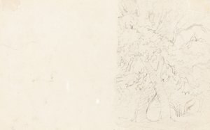 Árvores [verso] de David Cox