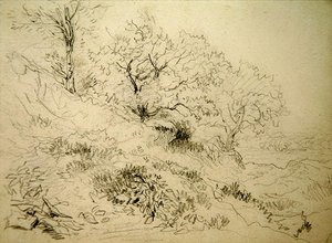 Welsh Landscape (giz sobre papel) de David Cox