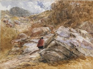 Mountain Pass em Bettws-y-Coed, 1851 de David Cox the elder