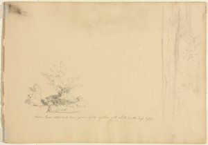 Estudos paisagísticos e arbóreos (verso) de David Johnson