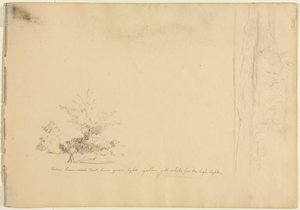 Estudos da Paisagem e das Árvores verso, c. 1851 de David Johnson