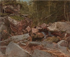 Estudo, North Conway, New Hampshire, 1851 de David Johnson