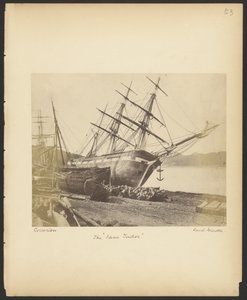 A "Jane Tudor" de David Johnson