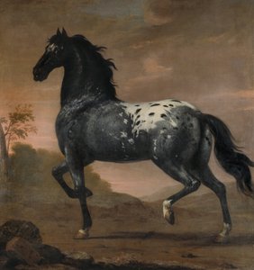 O cavalo do Carlos XI, o «Tigre Azul», 1673 de David Klöcker Ehrenstrahl