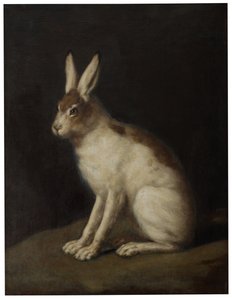 Lebre de David Klöcker Ehrenstrahl