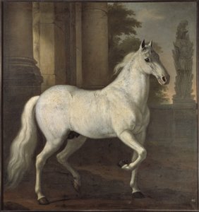Brilliant, o cavalo de estimação de Carlos XI de David Klöcker Ehrenstrahl