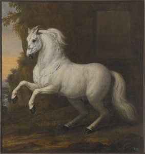 O cavalo de estimação de Carlos XI – Em resumo de David Klöcker Ehrenstrahl