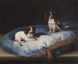Dois cães de pequeno porte de David Klöcker Ehrenstrahl
