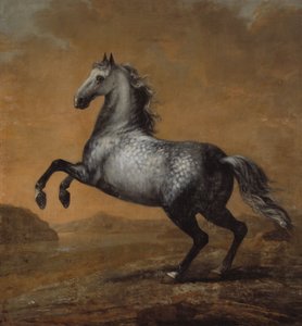 O Pequeno Inglês, O Cavalo do Rei Karl XI (1655-97)