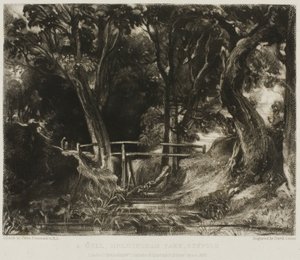 A Dell, Helmingham Park, Suffolk de David Lucas