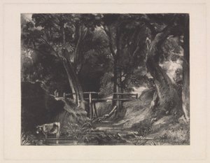 A Dell, Helmingham Park, Suffolk de David Lucas