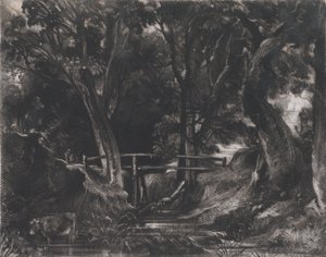 A Dell, Helmingham Park, Suffolk, 1830. de David Lucas