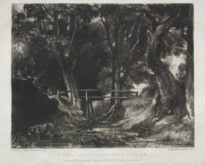 Vários assuntos de paisagem, característicos do cenário inglês de imagens pintadas por John Constable, R.A.: Dell in the Woods of Helmingham Park, Suffolk de David Lucas